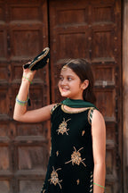 Roshni
